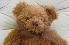 Teddybär 008.jpg